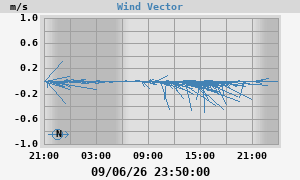 Wind Vector